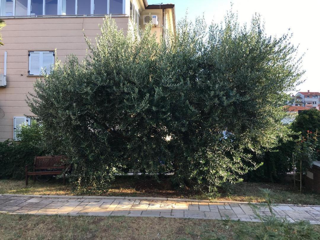 Bozena Apartman